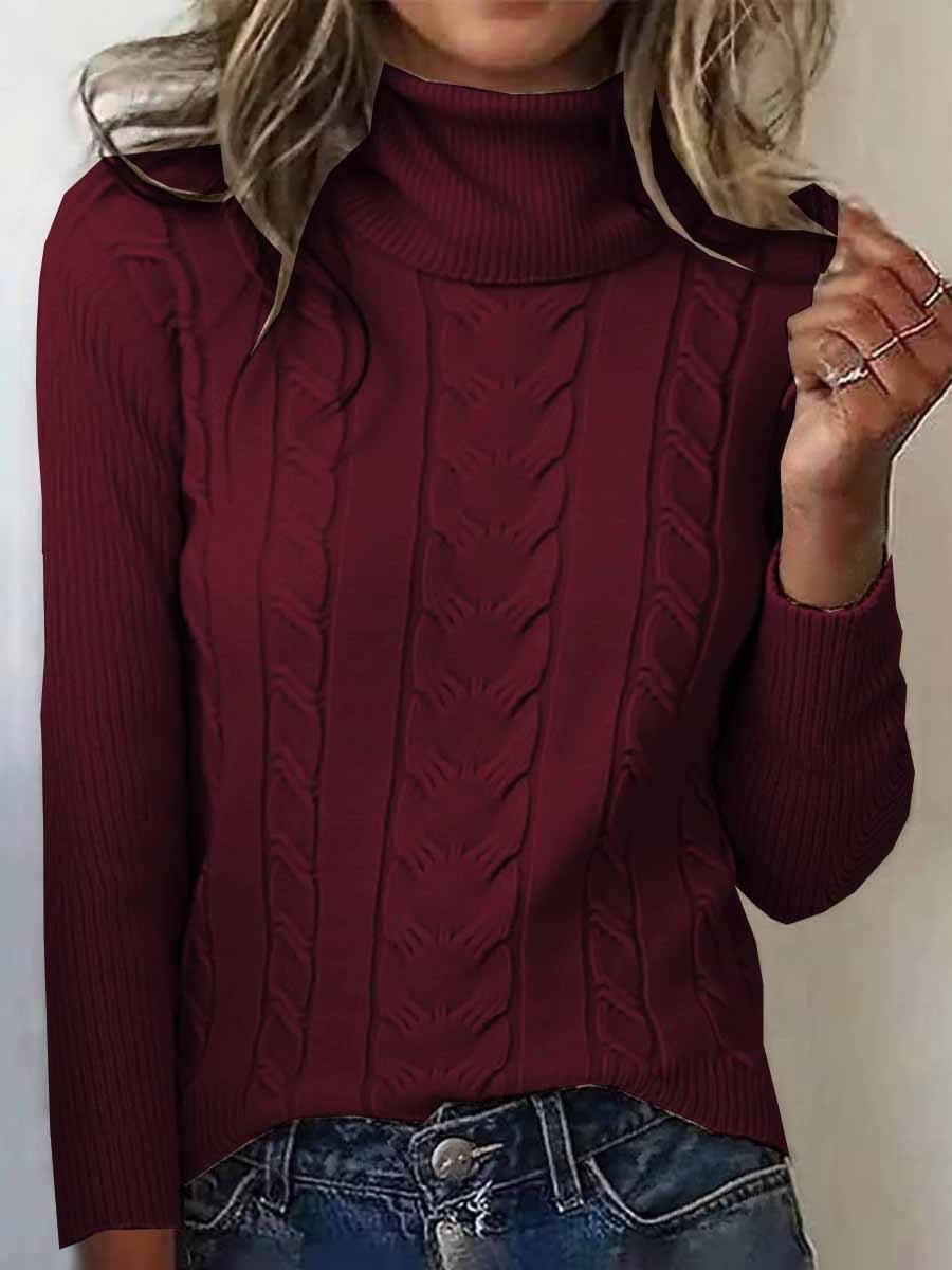 Turtleneck Casual Regular Fit Sweater