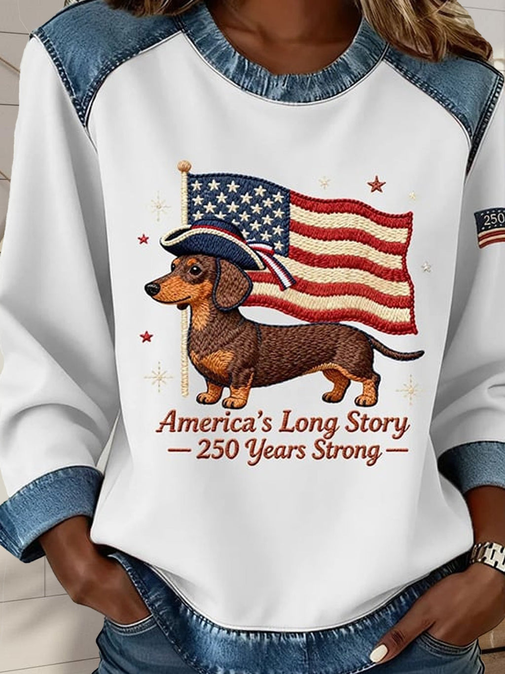 Street Denim Color Block Dog Round Neck Long Sleeve Amercia Flag Going Out Casual Sweatshirt