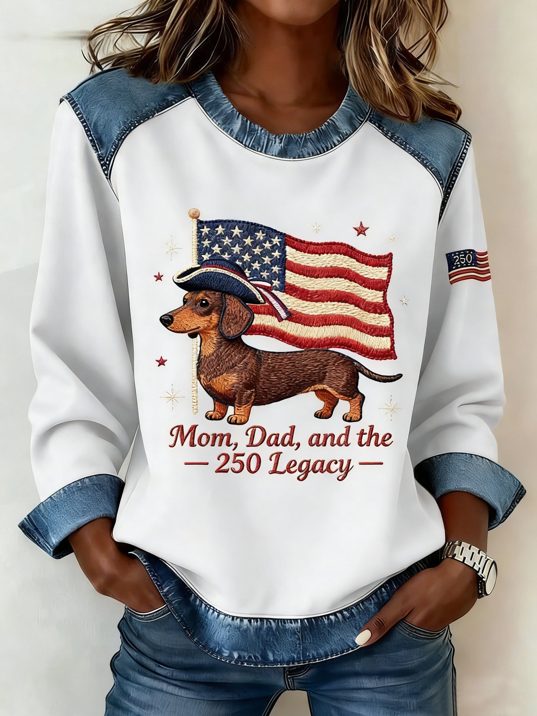Street Denim Color Block Dog Round Neck Long Sleeve Amercia Flag Going Out Casual Sweatshirt