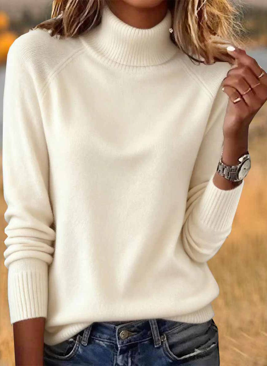 Casual Turtleneck Sweater